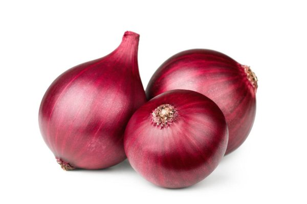 Hydraruzxpnew4af onion tor